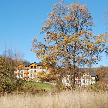 Apartament "Hotelik" Шклярська Поремба Екстер'єр фото